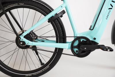 eViva GT Jubil&auml;umsmodell &bdquo;20 Jahre Velothek&ldquo; Produktbild 1