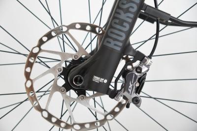 eViva GT Jubil&auml;umsmodell &bdquo;20 Jahre Velothek&ldquo; Produktbild 2