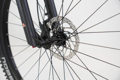 Bergamont E-Revox Sport 10 Produktbild 2