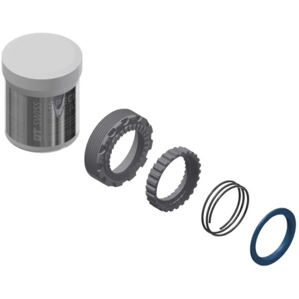 DT Swiss Zahnscheiben Kit EXP OS 30T 2 Stk. inkl. Feder und Fett  Schwarz